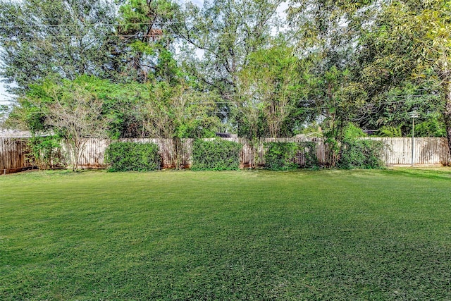 view of yard featuring a fenced backyard