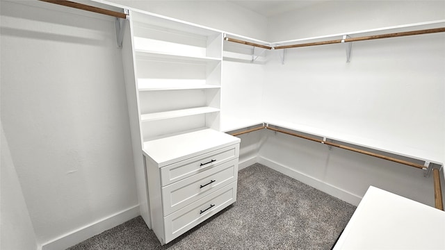 spacious closet featuring dark colored carpet