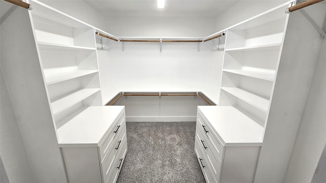 spacious closet with dark carpet