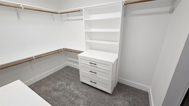 4526 Dixie Dr, Houston, TX 77021 - spacious closet with dark carpet