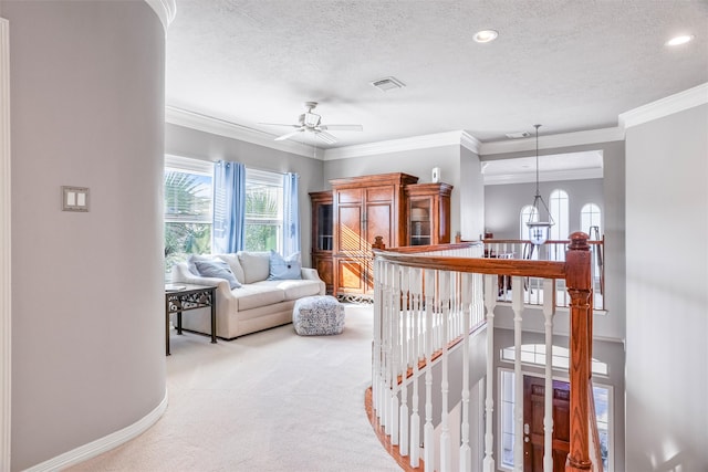 corridor featuring crown molding, carpet floors, and a textured ceiling