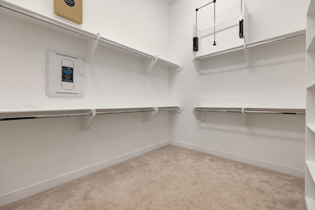 walk in closet featuring light carpet