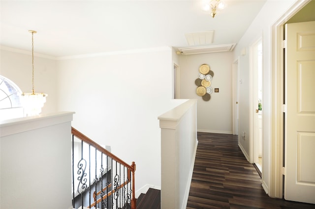 corridor featuring ornamental molding, dark wood-type flooring, and a chandelier