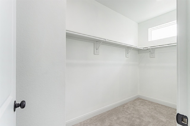 spacious closet with light colored carpet