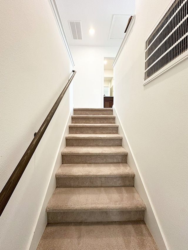 stairs featuring carpet