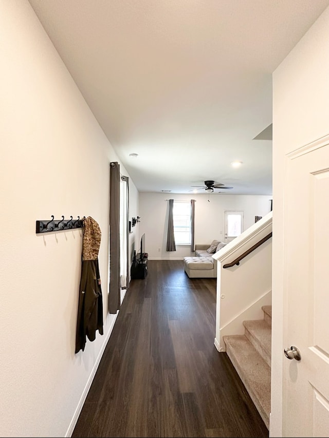 hallway featuring dark hardwood / wood-style floors