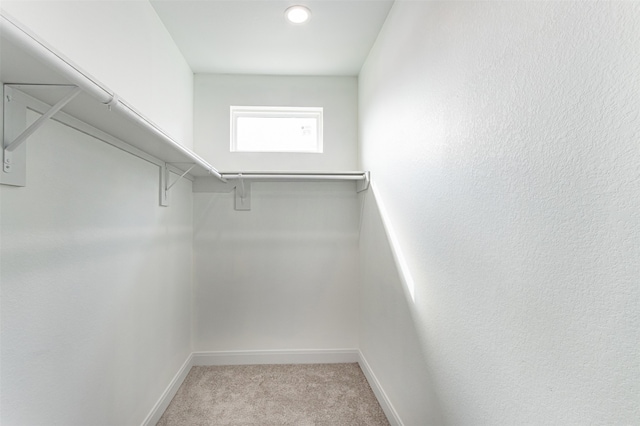 walk in closet featuring light carpet