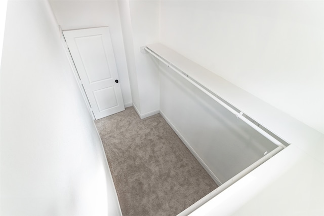 spacious closet featuring light carpet