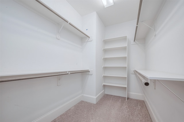 walk in closet featuring light colored carpet