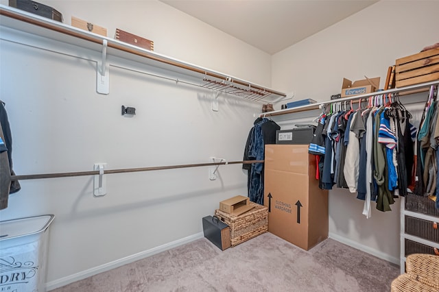 spacious closet with light colored carpet