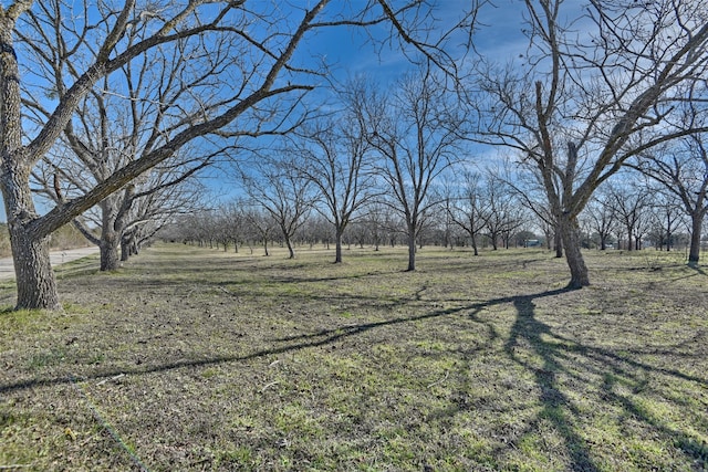 Listing photo 3 for 00 Fm 50, Brenham TX 77833