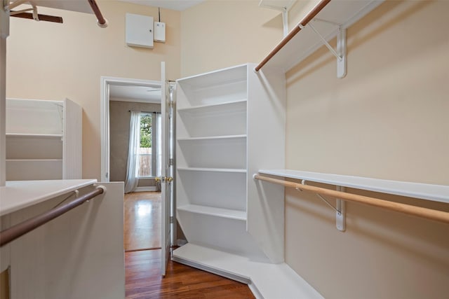 spacious closet featuring dark hardwood / wood-style flooring