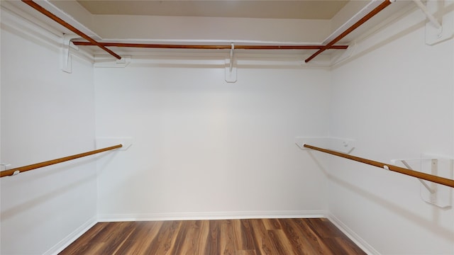 spacious closet featuring dark hardwood / wood-style flooring