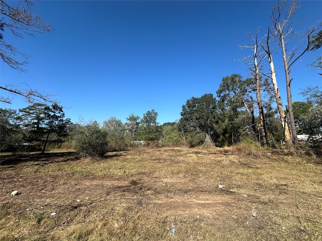 25983 Ella Brown Rd, Dobbin TX, 77333 land for sale