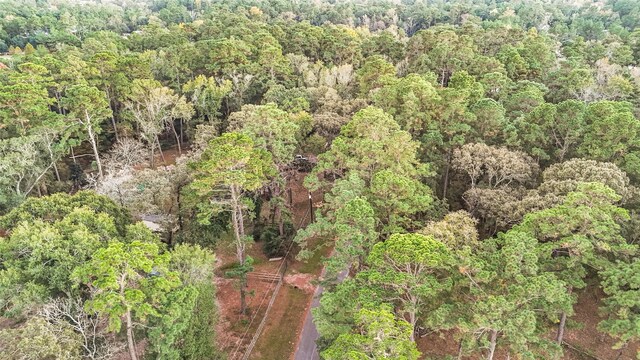 0 Mink Lake Dr, Magnolia, TX 77355 - photo 5