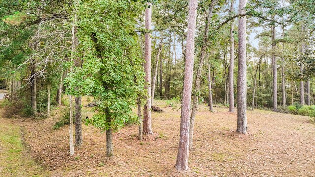 0 Mink Lake Dr, Magnolia, TX 77355 - photo 7