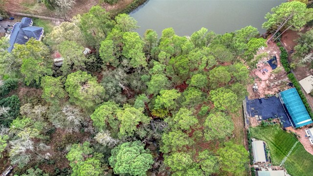 0 Mink Lake Dr, Magnolia, TX 77355 - photo 8