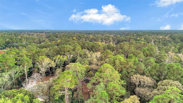 0 Mink Lake Dr, Magnolia, TX 77355 - photo 9
