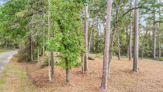 0 Mink Lake Dr, Magnolia, TX 77355 - photo 10