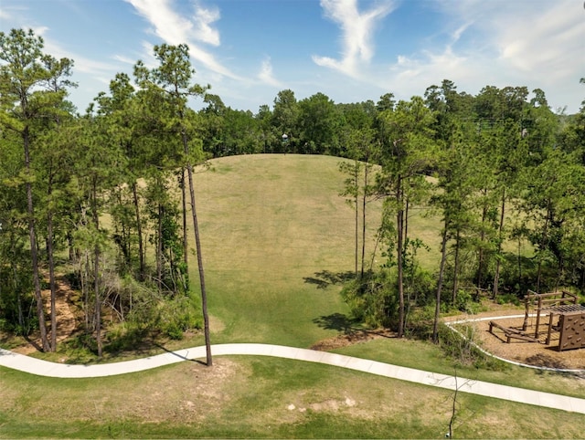 view of community with a yard