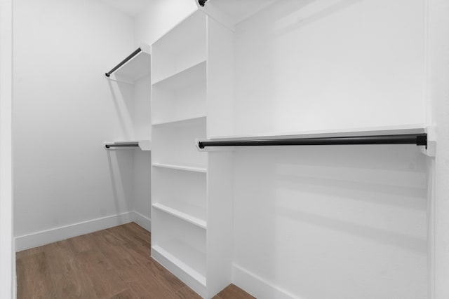 spacious closet with hardwood / wood-style flooring