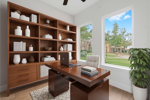 office space featuring light hardwood / wood-style floors and plenty of natural light