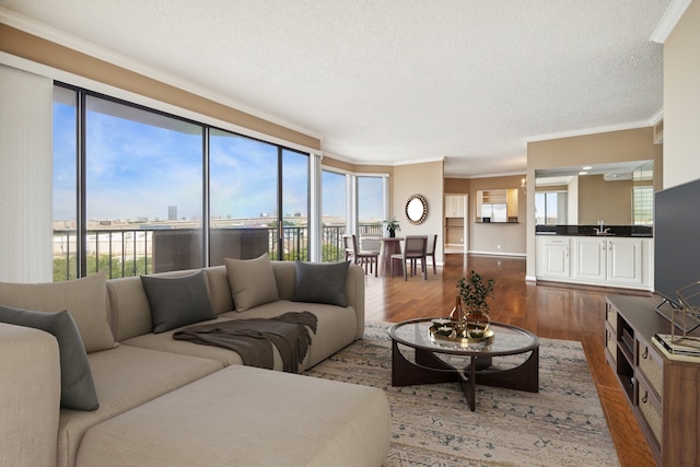 living room with hardwood / wood-style floors, a textured ceiling, sink, and crown molding