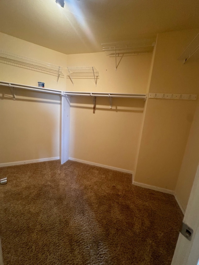 spacious closet with carpet floors