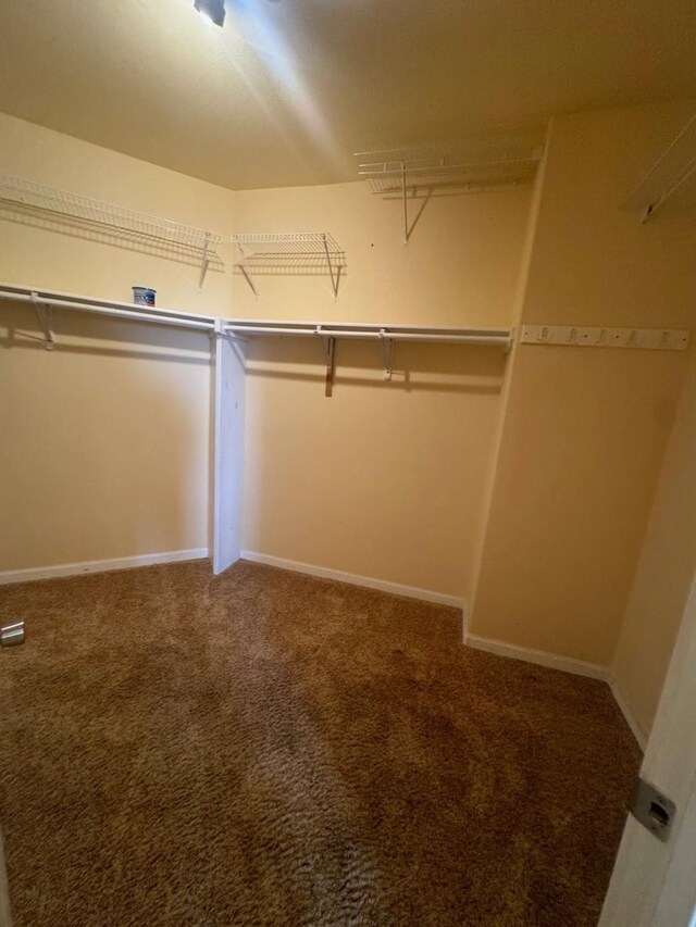 6016 Fm 2720, Maxwell, TX 78656 - walk in closet with carpet