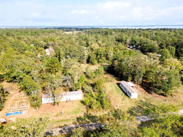 J401 Water Oak Dr, Point Blank TX, 77364 land for sale