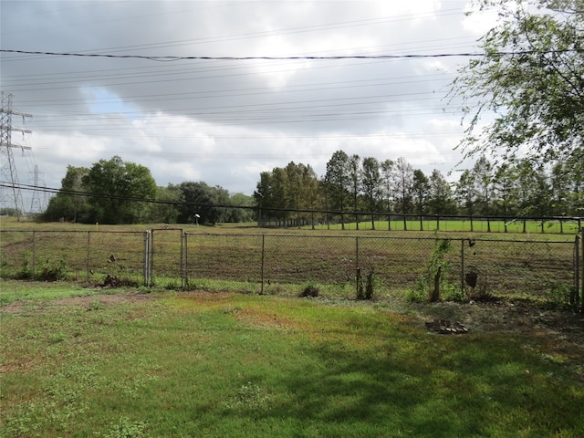 view of yard with a rural view