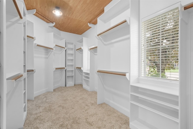 walk in closet featuring light colored carpet