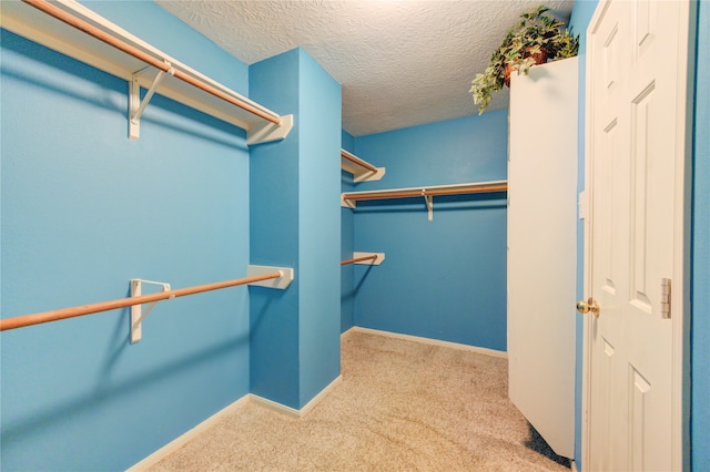 walk in closet with light colored carpet