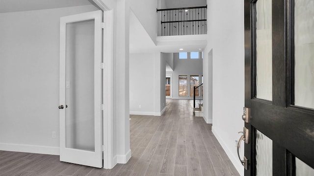 hall featuring a high ceiling and wood-type flooring