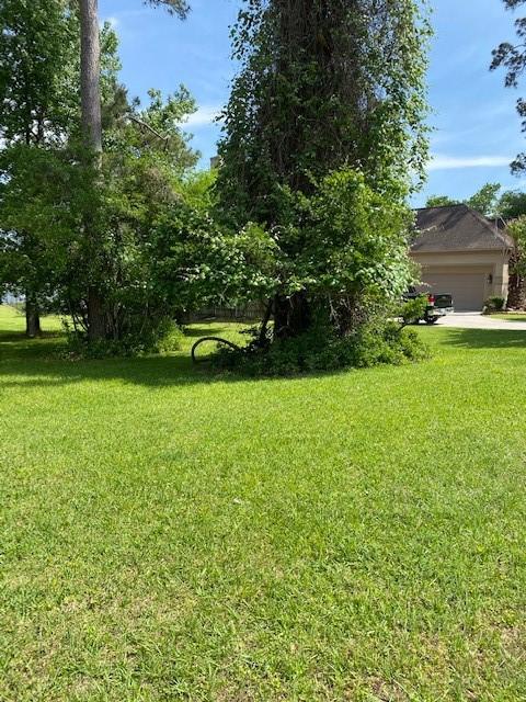 11823 Thoreau Dr, Montgomery, TX 77356