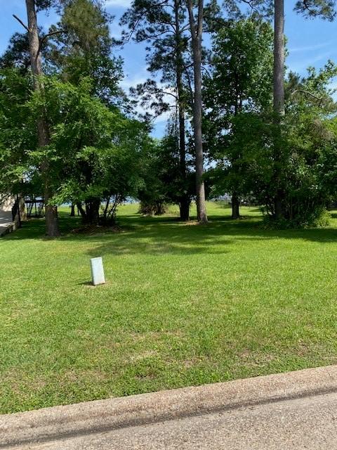11823 Thoreau Dr, Montgomery, TX 77356