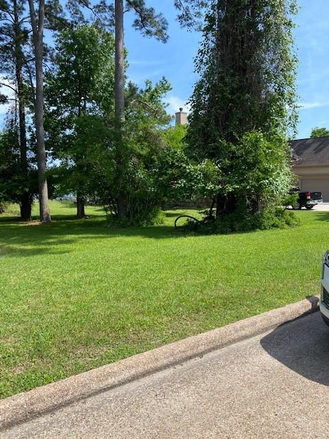 11823 Thoreau Dr, Montgomery, TX 77356