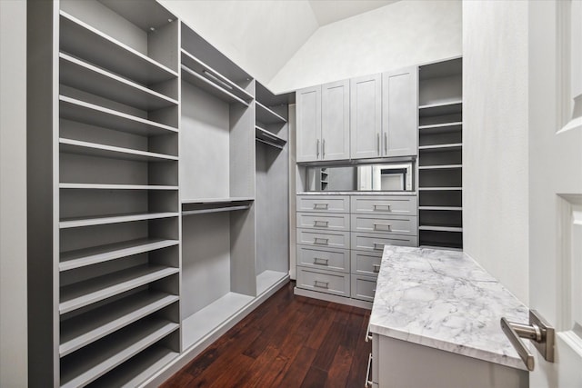 spacious closet with vaulted ceiling and dark wood-type flooring