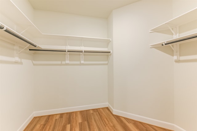 walk in closet featuring wood-type flooring