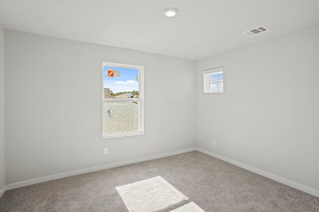 spare room with a wealth of natural light and carpet