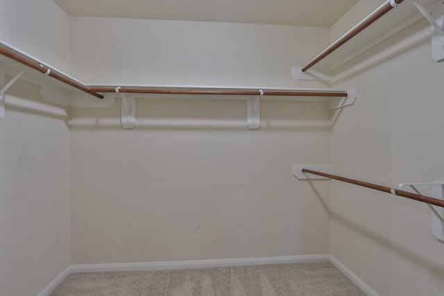 walk in closet featuring light colored carpet