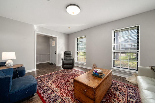 living room with dark hardwood / wood-style flooring