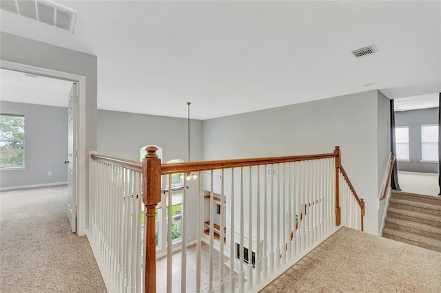 corridor with light colored carpet