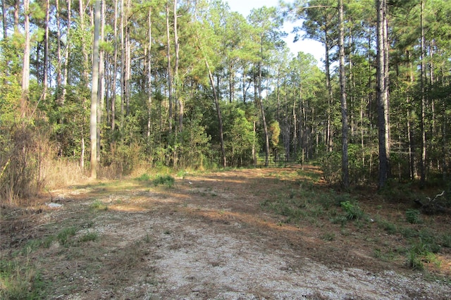 801 Pelican Rd, Shepherd TX, 77371 land for sale