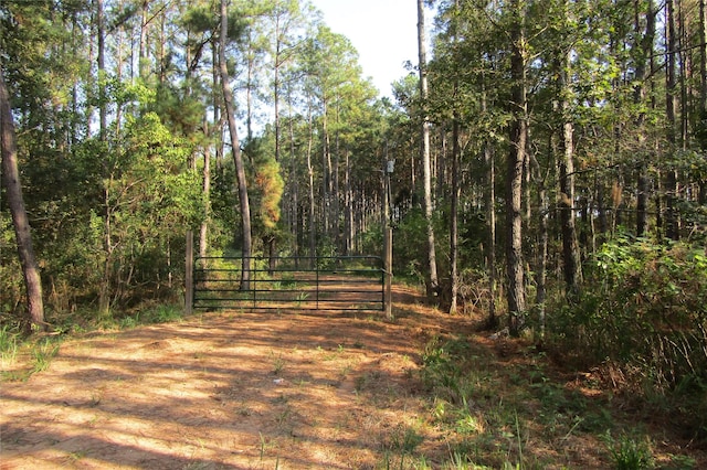 801 Pelican Rd, Shepherd, TX 77371 - photo 2