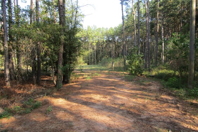 801 Pelican Rd, Shepherd, TX 77371 - photo 3