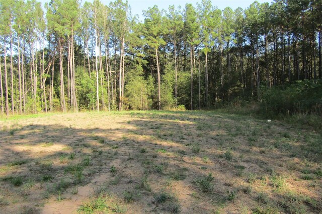 801 Pelican Rd, Shepherd, TX 77371 - photo 4