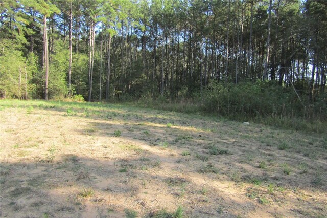 801 Pelican Rd, Shepherd, TX 77371 - photo 5