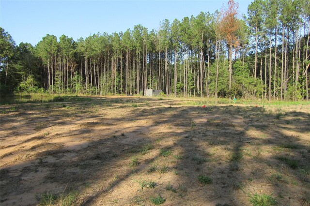 801 Pelican Rd, Shepherd, TX 77371 - photo 6