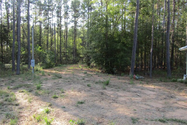801 Pelican Rd, Shepherd, TX 77371 - photo 8